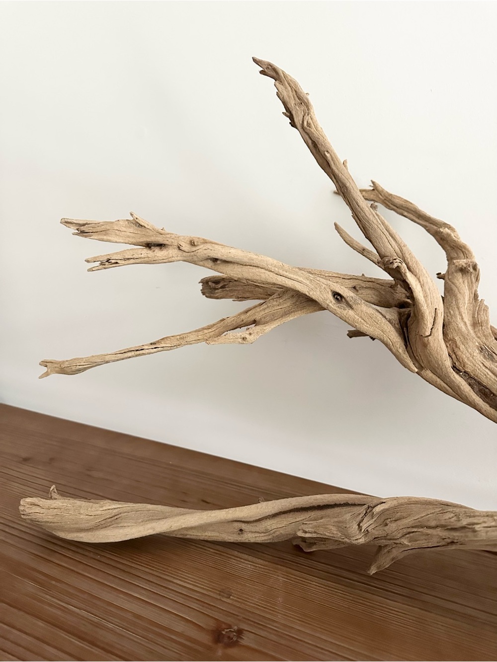 Large Natural Driftwood Branch - Coastal Beach Decor - Picture 8 of 17